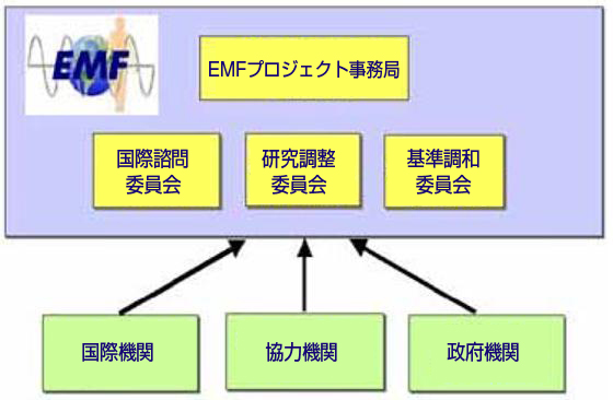 組織の構成