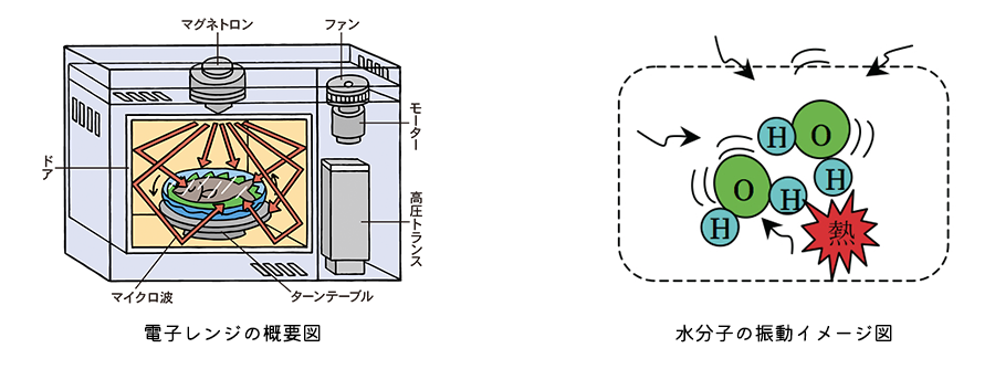 サンプル